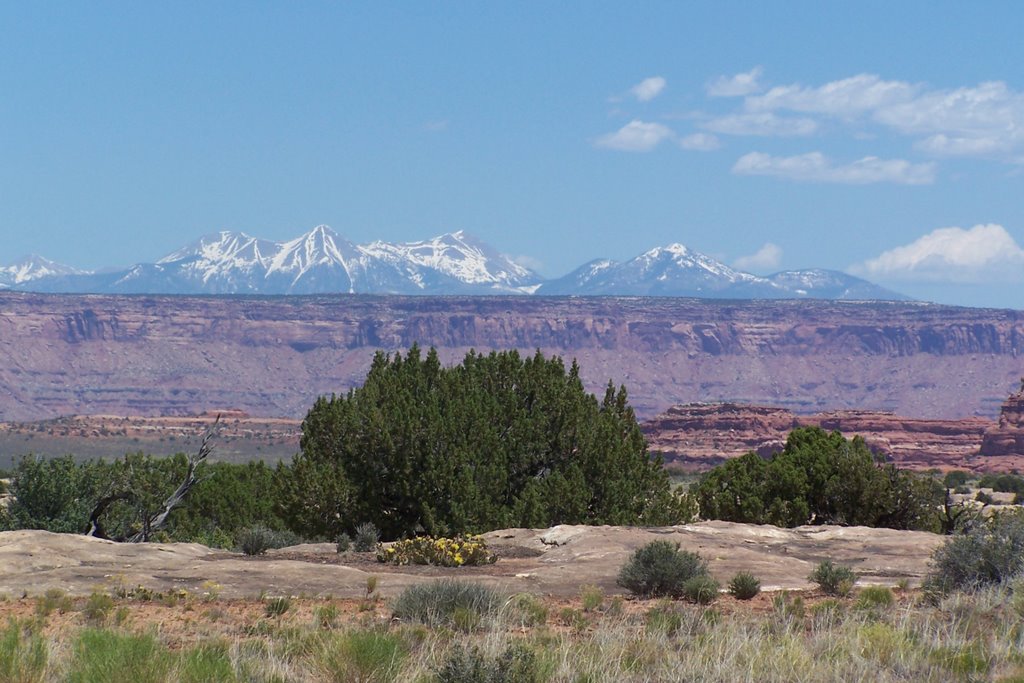 Canyon Land - Manti La Sal Mts by Manfred.prefi