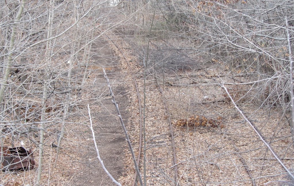 Former Erie RR Main Line by Adam Elmquist