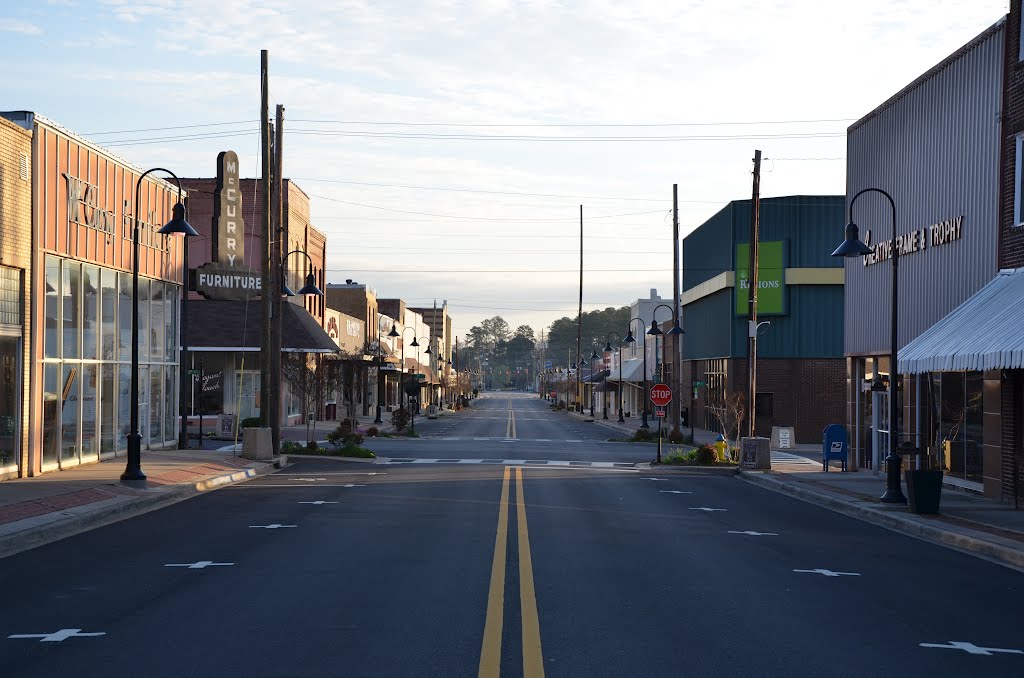 Downtown Oneonta by wmr36104