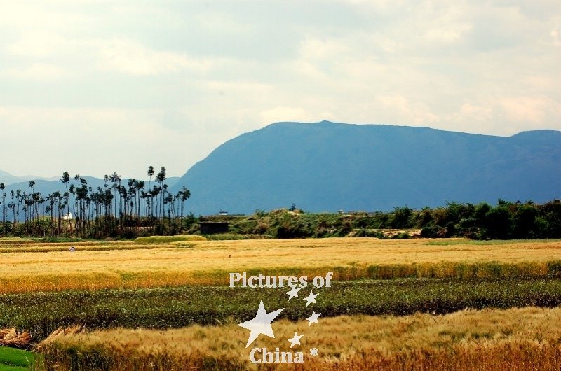 Grounds of contrasts by Charles Carrard