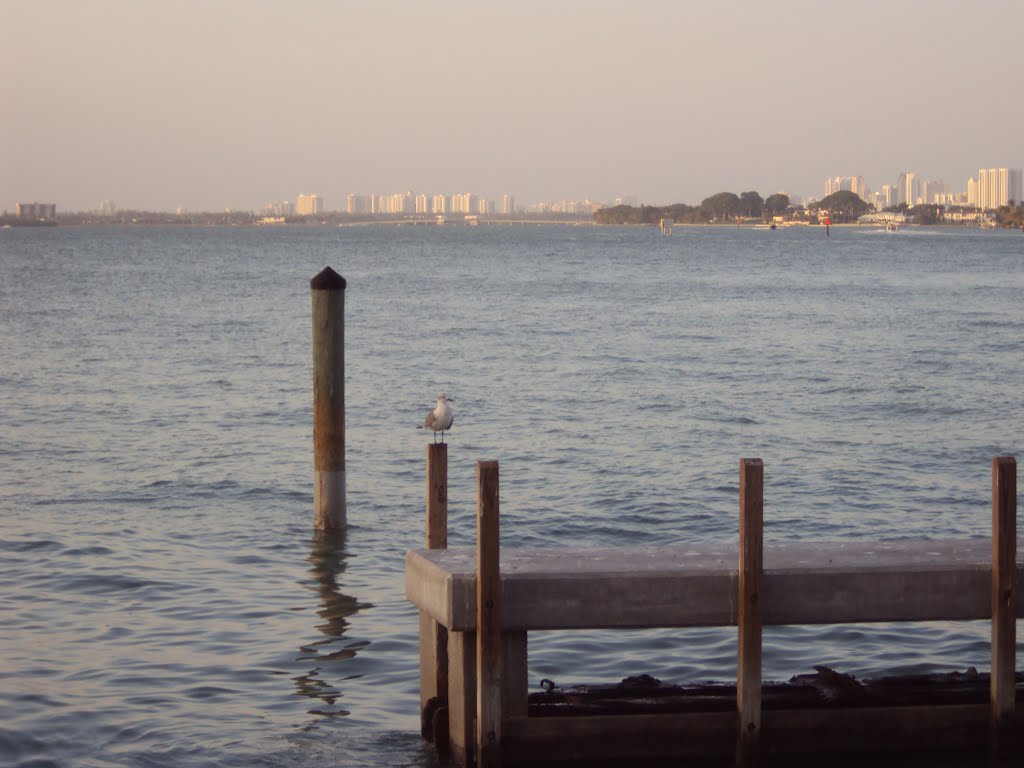 Shuckers Sports Bar & Grill-Pier & SeaGull by John M Lopez