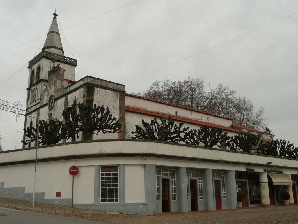 Igreja Matriz de Figueiró dos Vinhos by Nuno Gonçalves