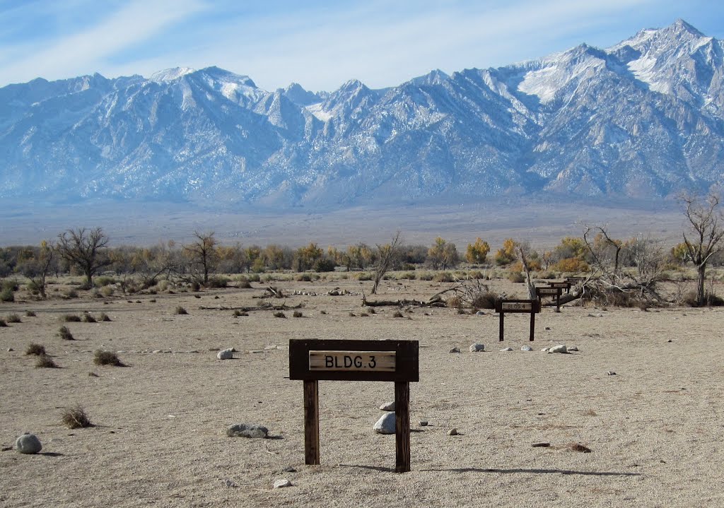 Manzanar War Relocation Center (1607a) by donbrr