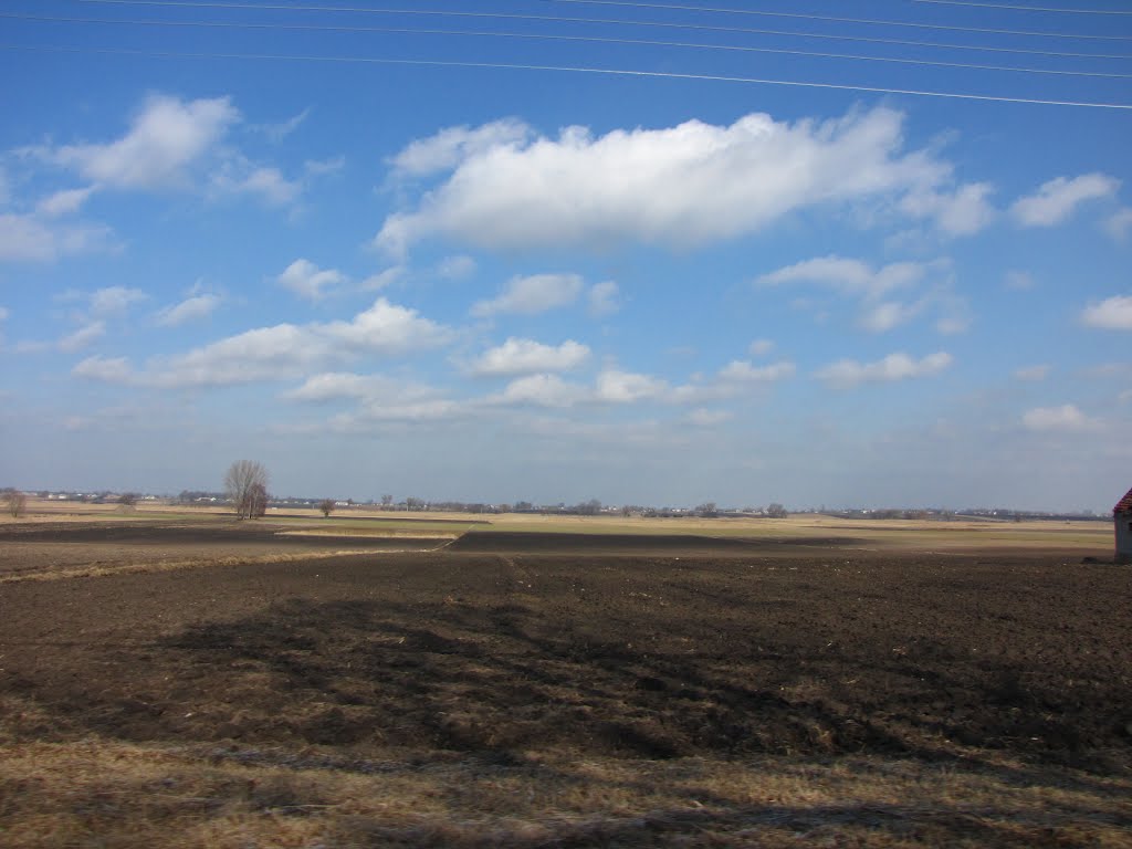 Krzywosądz - Kolonia - łąki przy Kan Bachorze. by krzysztofk