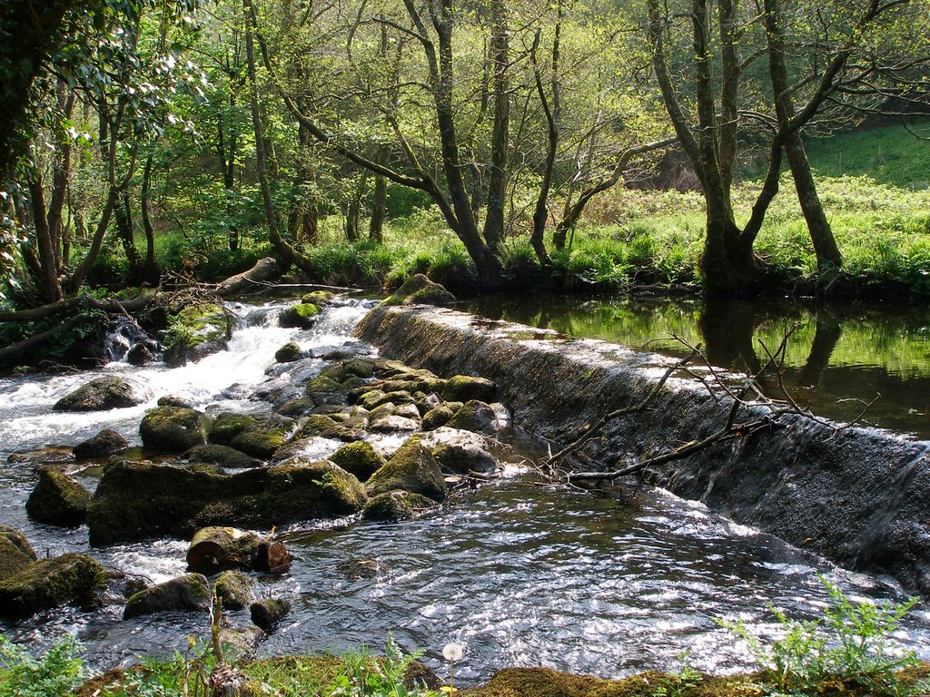 River Teign near Chagford by wendyemlyn