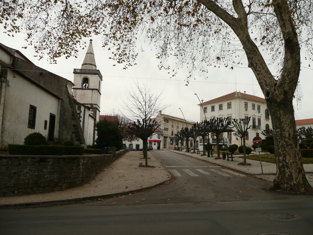 Igreja Matriz e Câmara Municipal by Nuno Gonçalves