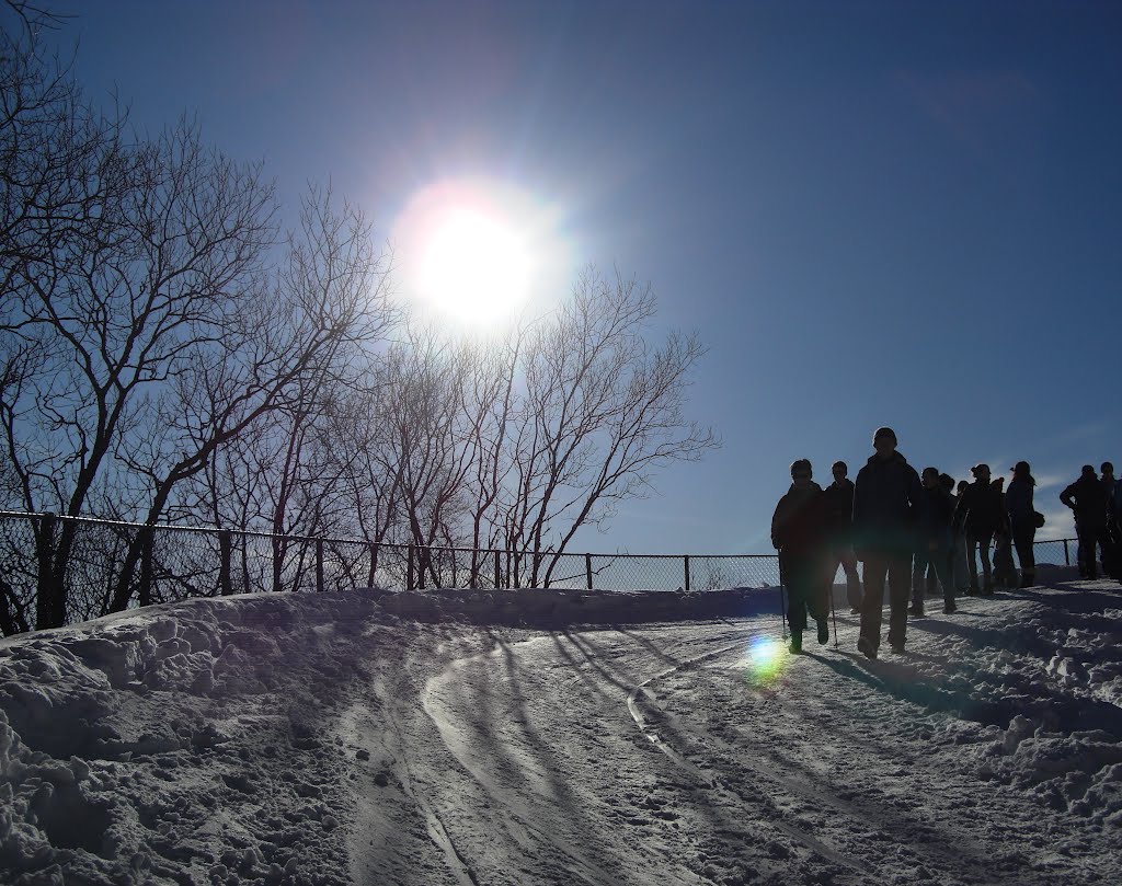 A very beautiful view of the sunshine and snow february 2010 by Mona Lygre