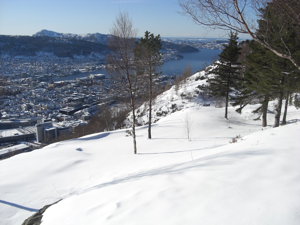 A snowy and sunny view towards Bergen by Mona Lygre