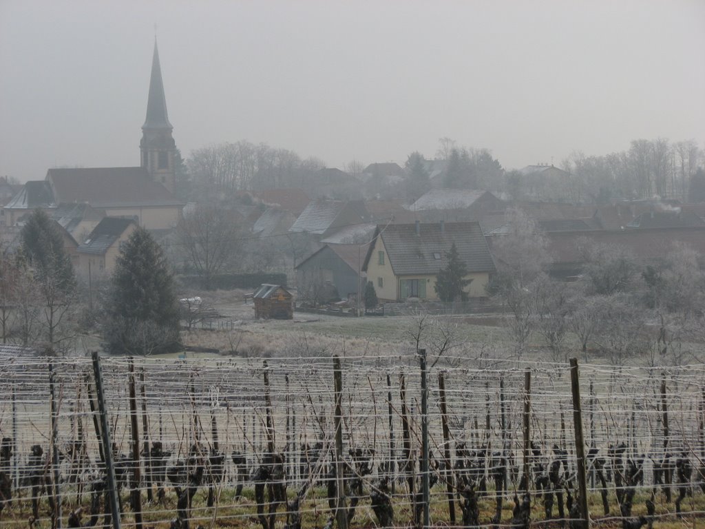 Wuenheim seen from West by © SisAnnick