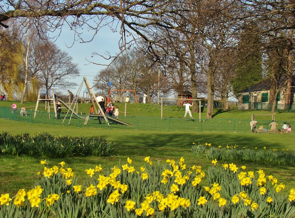 Looking over Daffodils towards the playground 1, High Hazel's Park, Darnall, Sheffield S9 by sixxsix