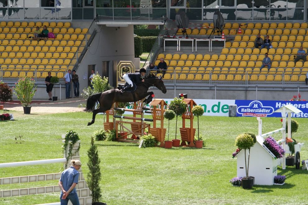 The international annual competitions on training horses in city Verden Aller......August,2007 by Komijama