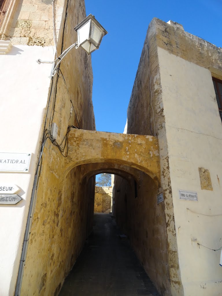 Gozo; Victoria, Festung mit trauter Ecke by Thomas Esch