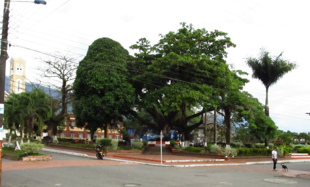 PARQUE PRINCIPAL DE RESTREPO (META) by FABIO PRIETO &