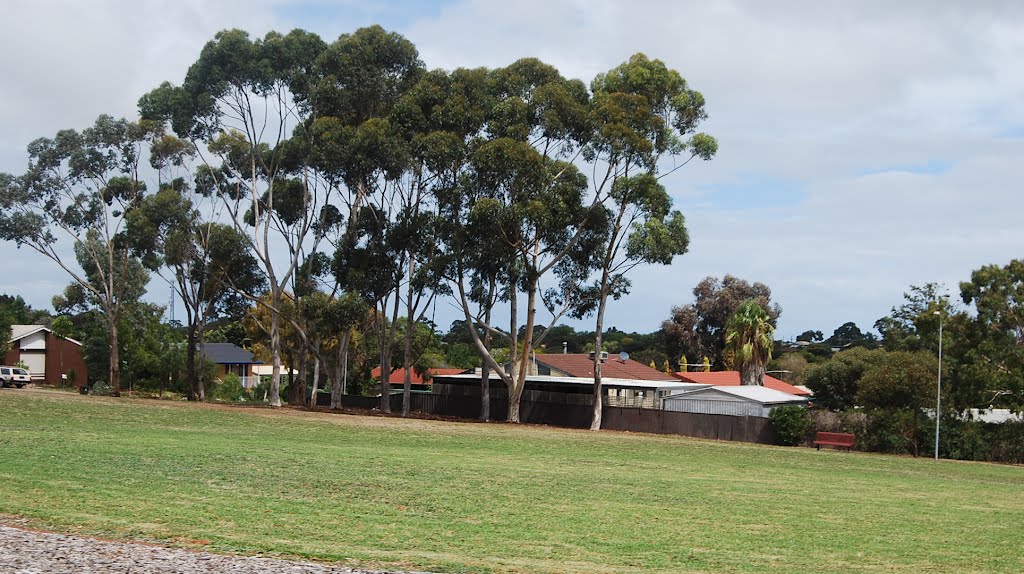 Open space - gum reserve by Phaedrus Fleurieu