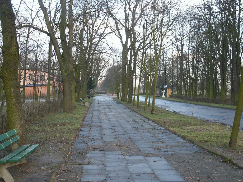 Słupca - Park Miejski by Norbert Kruk