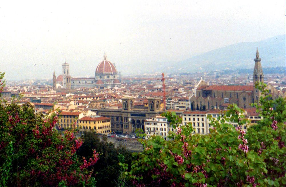 Vista panoramica de florencia by eduardosch