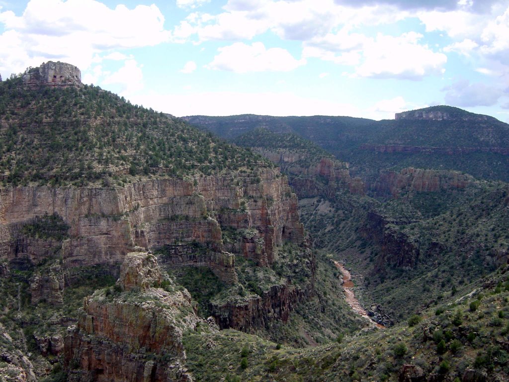 Oak Creek Canyon by wombatter