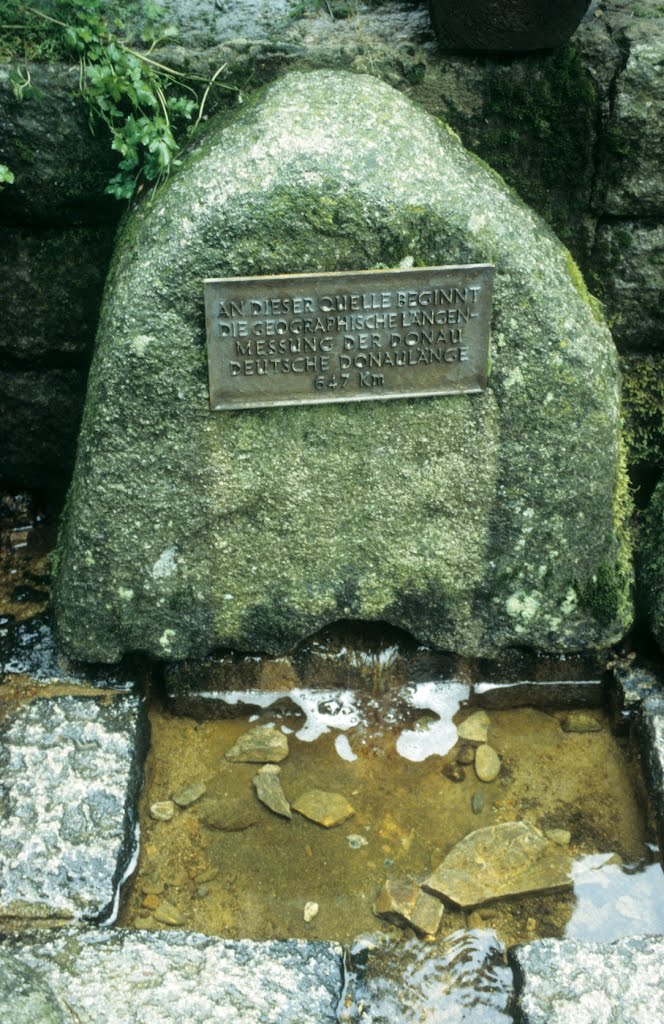 Die Donauquelle (Breg-Quelle) nordwestlich von Furtwangen by J. Eichendorf