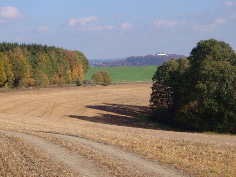 Blick zur Augustusburg im Herbst von Kleinolbersdorf by UausC