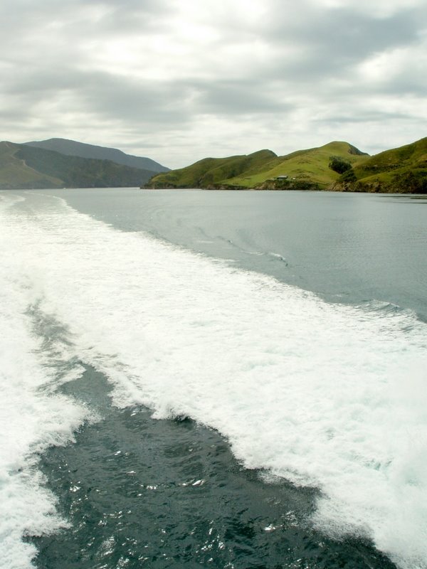 Marlborough Sound by jamesfm