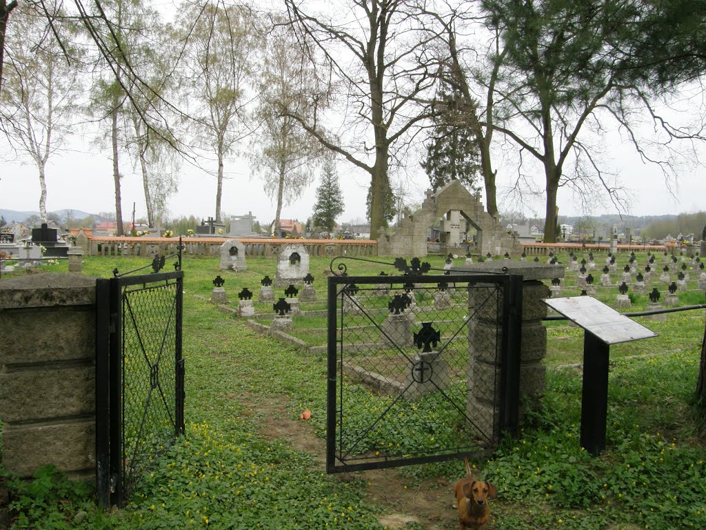 WWI Military Cemetery no: 294 - Zaakliczyn by Kozik tawiko