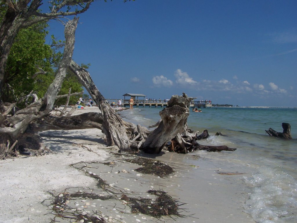 Sanibel, FL, USA by memyselfandi