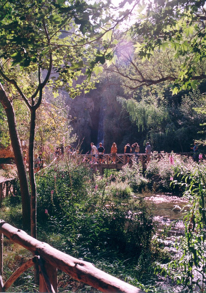 Monasterio de Piedra by Laura Sayalero Plate…