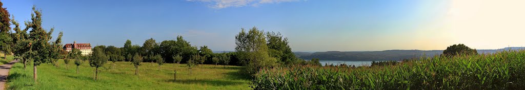 Blick auf den Spetzgarter Tobel mit Schloß Spetzgart an Plantage von Tafelobst und Bodensee by Strucki