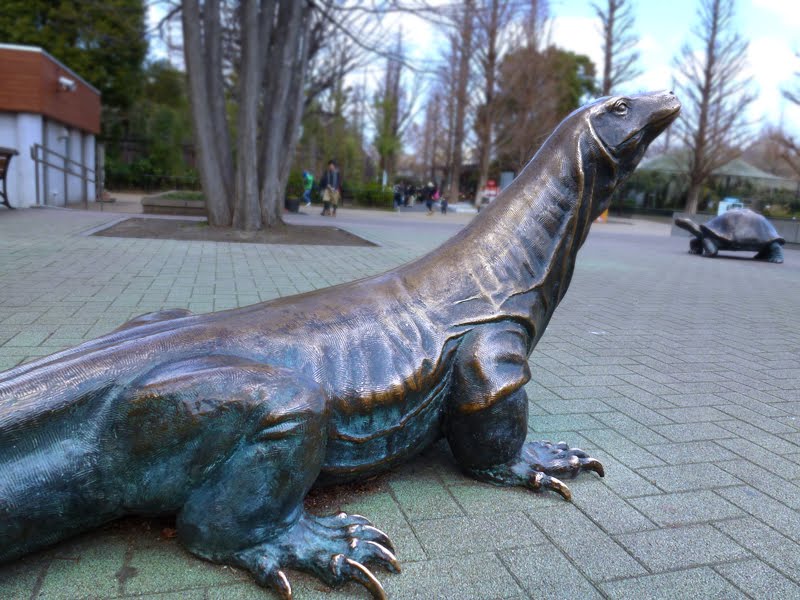 Ueno Zoo (上野動物園) by posh208