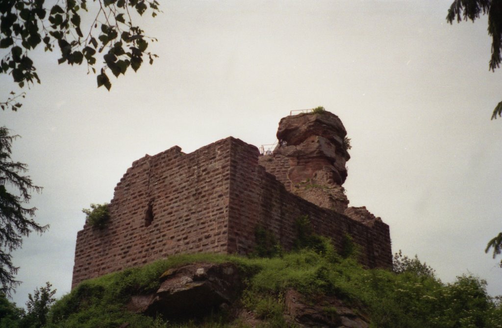 Hohenbourg: mur bouclier by girodpi