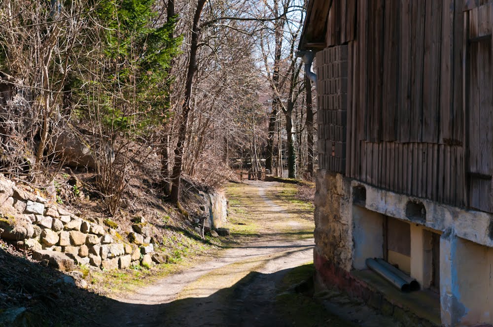 Weg ins Malerwinkel by michael mikscha