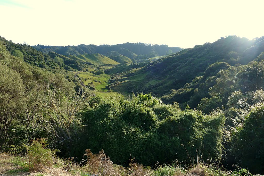 Pohukura Saddle, Forgotten World Highway, Taranaki by Linbery