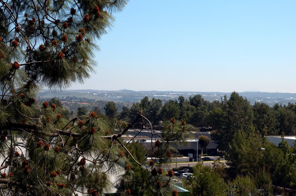 Poway from Carmel Mountain Road by egzgallery