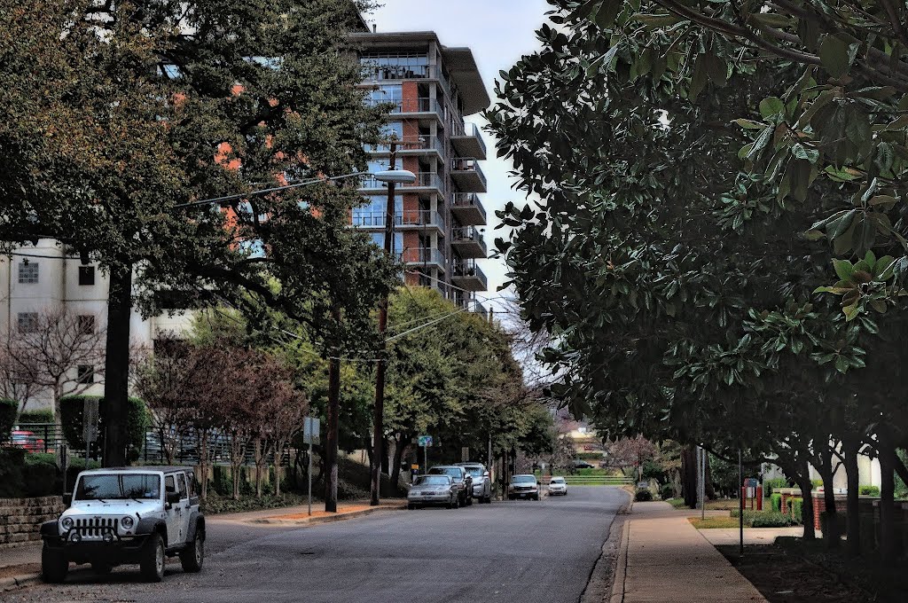 A Street Lined with Trees. by thorsenmark