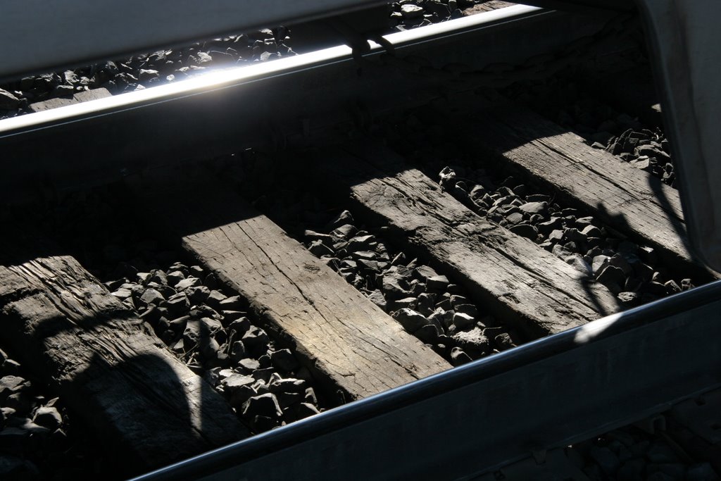 Tracks at the Amtrak Station in Shelby, Montana by prasenberg