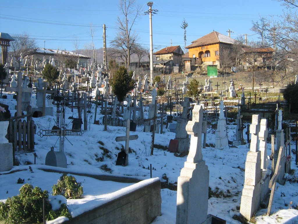 Cimitirul din Pietriceaua, iarna 2007-2008 by aliensamadhi