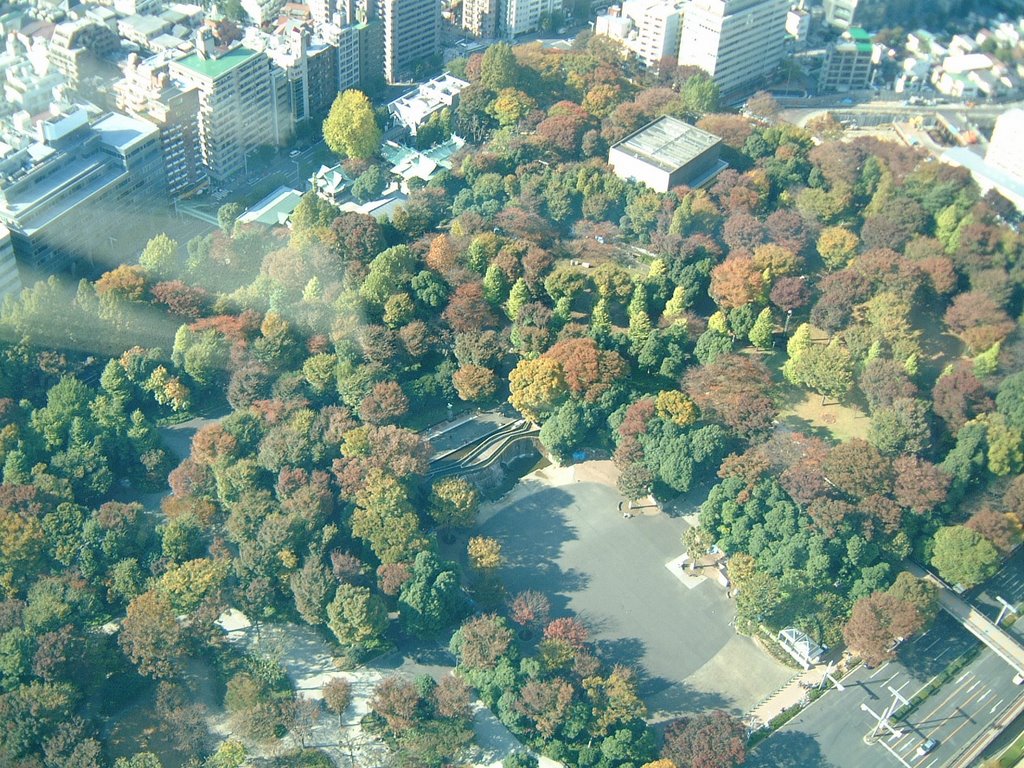 Shinjuku Central Park by IaoShun