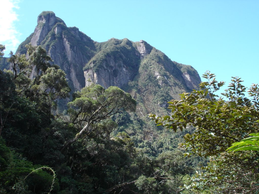 In Marojejy National Park by StephenHarris