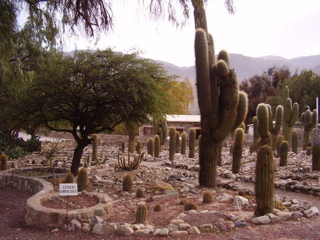 Jardín Botanico de Altura by Augusto Moreno Prado