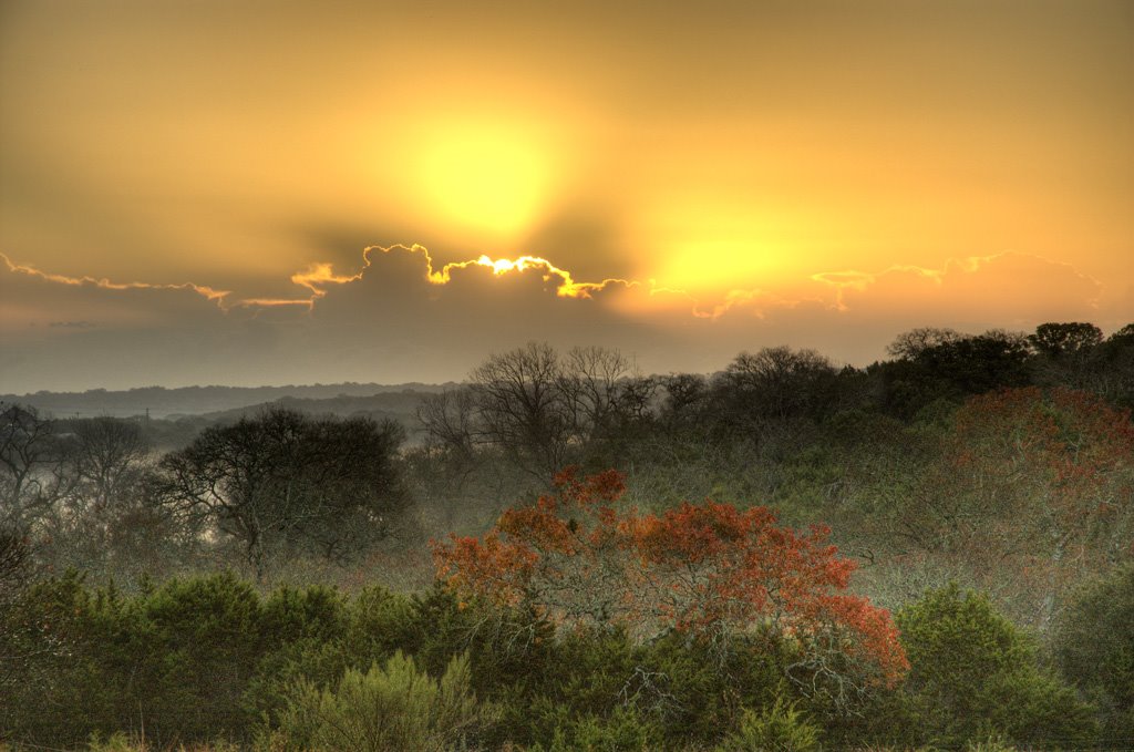 Red Oak at Sunrise, HDR by Don J Schulte