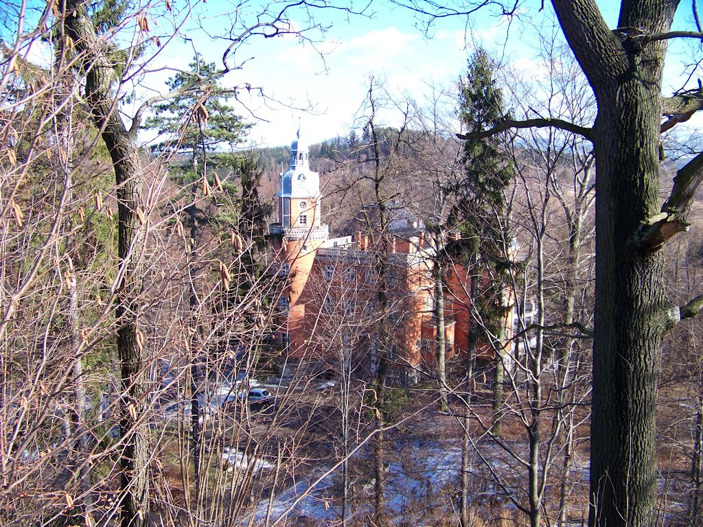 Widok na pałac Paulinum ze wzgórza w parku by wupe.jg