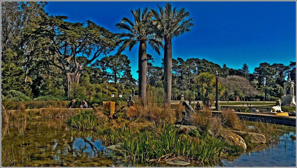 Landscape. Golden Gate Park by Ecobio