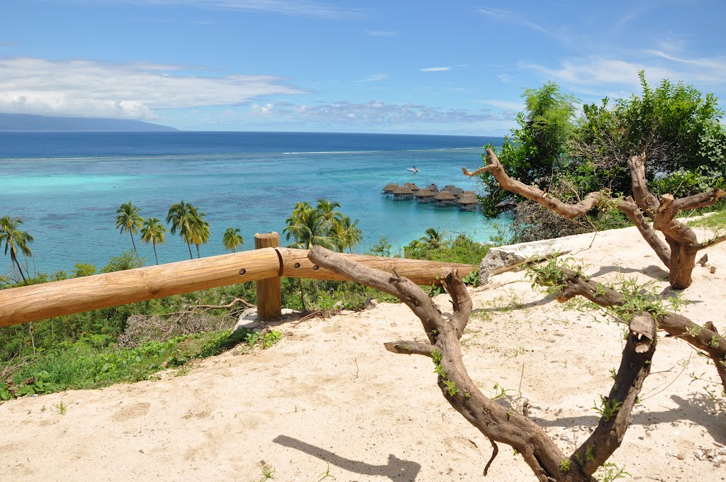 BLUE - MO'OREA - FRENCH POLYNESIA by wilson alves