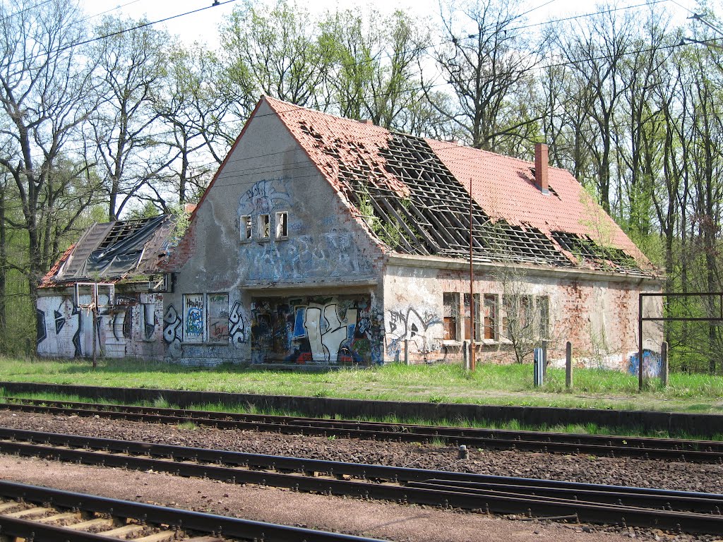 Bahnhofsruine Falkenhagen by mganzer