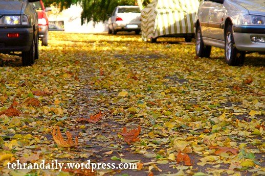 Autumn in Golestan Town by amirpix