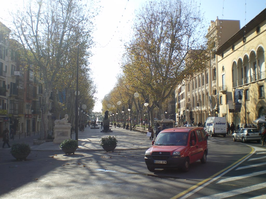 Passeig des Born by michelff