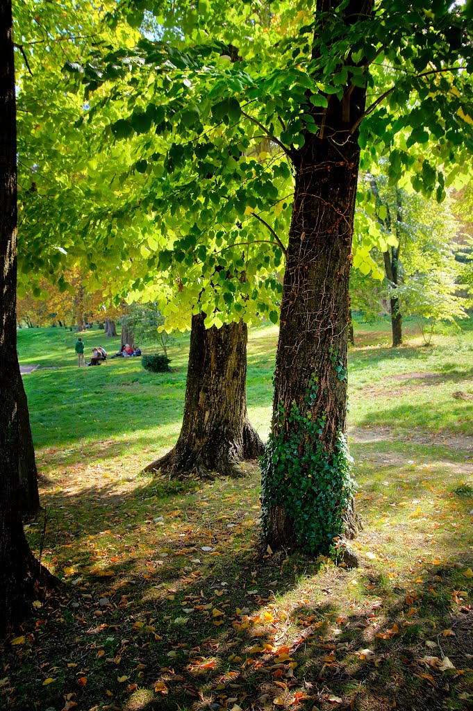 Dans le parc des jardins d'Uzès. by André Becker