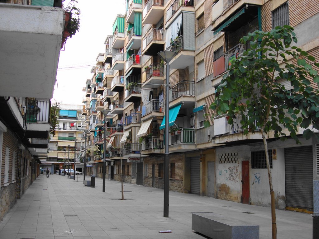 Carrer Pintor Segrelles by josep lluis