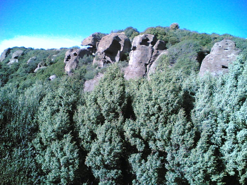 Rocce a Capo Altano (Portoscuso) by Damiano Piras