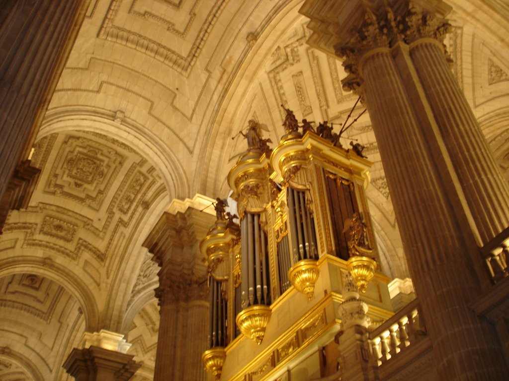 Organo de la Catedral de Jaen by Framusa